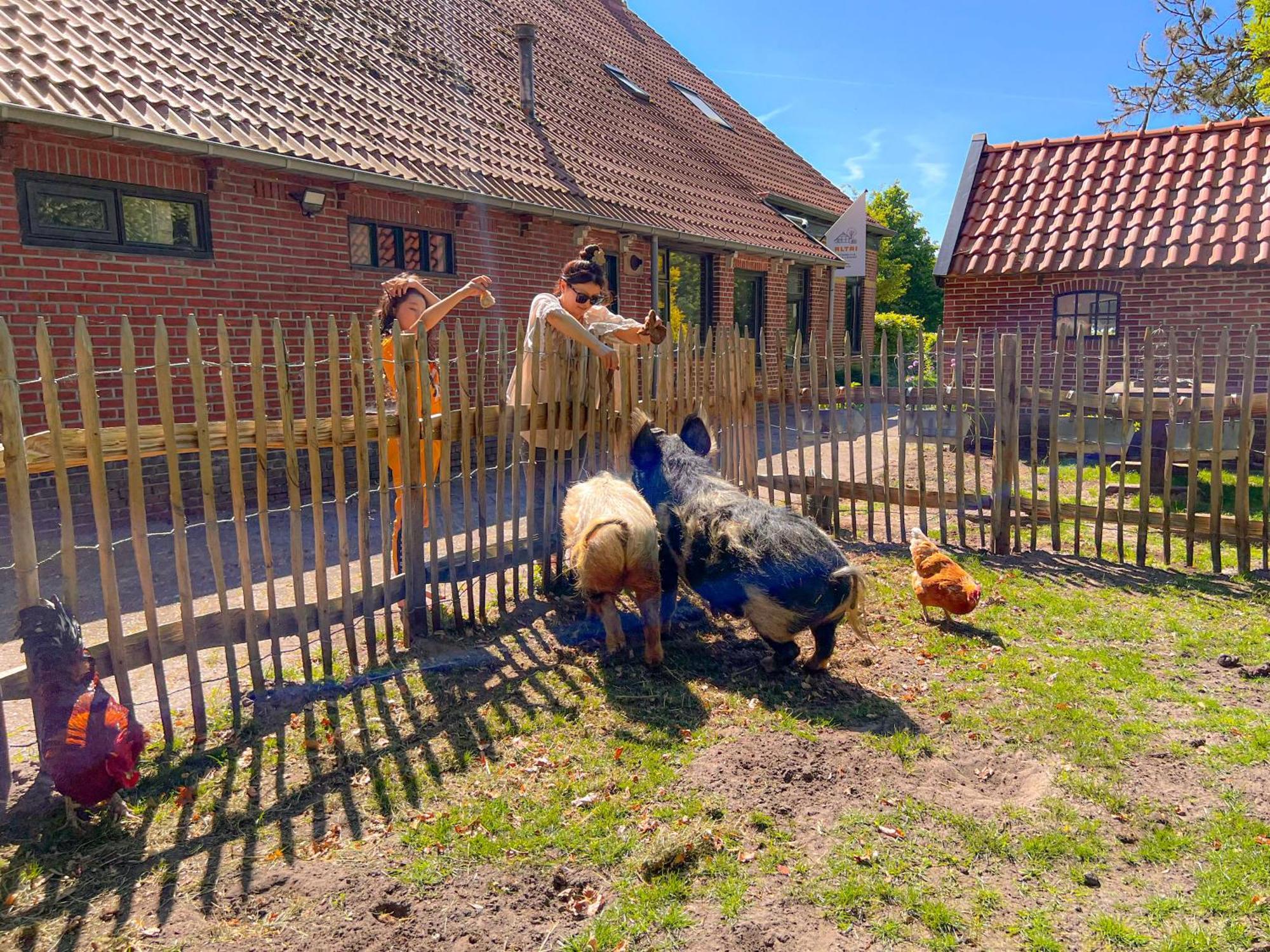 Gastenverblijf In Boerderij In Oost-Groningen Wedde Zewnętrze zdjęcie
